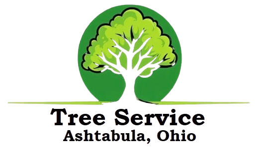 Tree Service Ashtabula Ohio